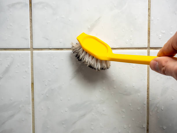Best Mold Removal Near Me  in Chattanooga, TN