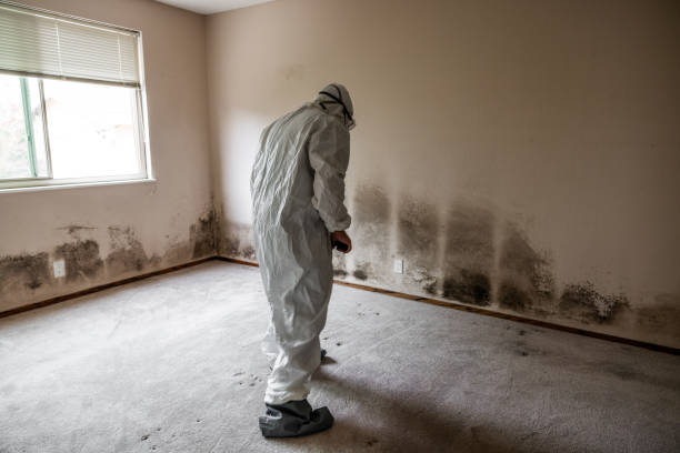 Chattanooga, TN Mold Removal Company
